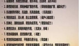 辟谷套餐爆料视频大全,视频大全中的养生奥秘大公开